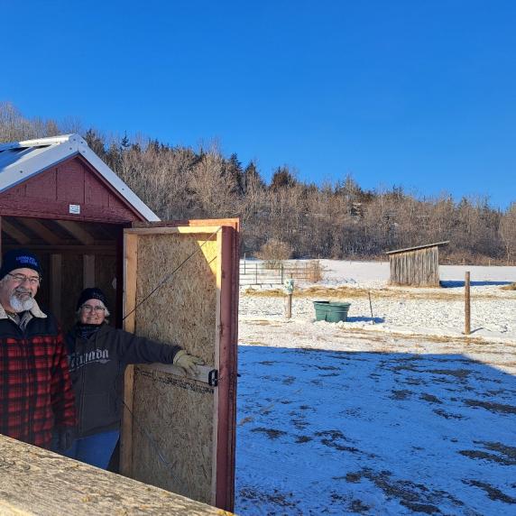 small red cottage shed with horses